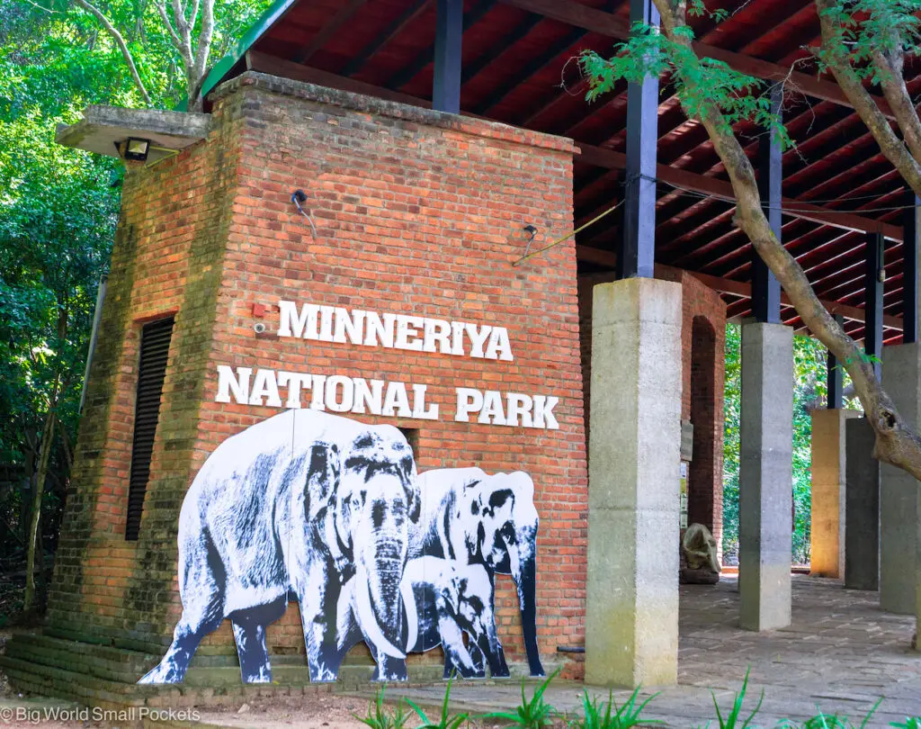 Discover Sri Lanka: The Ultimate Island Gateway to Culture, Coastlines, and Adventure