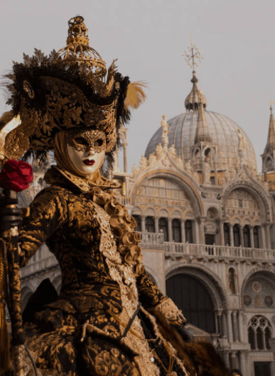 Find Tours